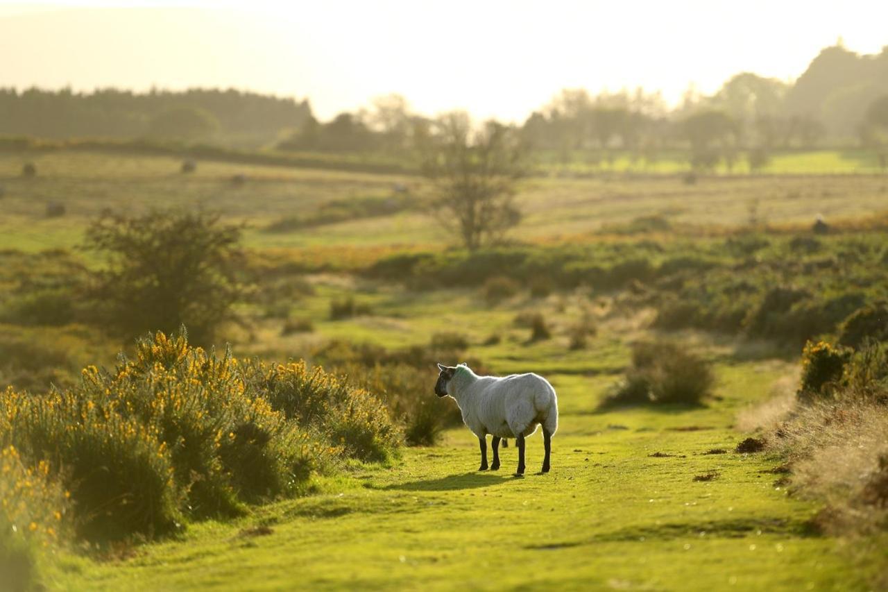 Captains Lookout Brecon Luaran gambar